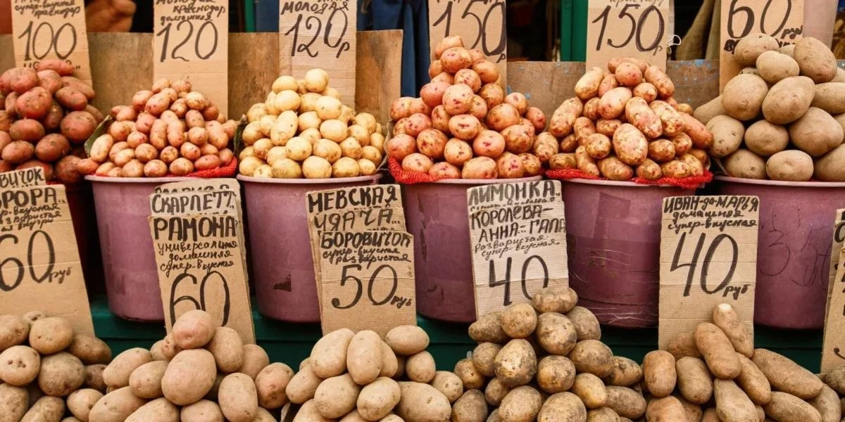 «Если рыба не дышит, с ней не разговаривают»: гуляем по рядам ростовского «Старбаза»